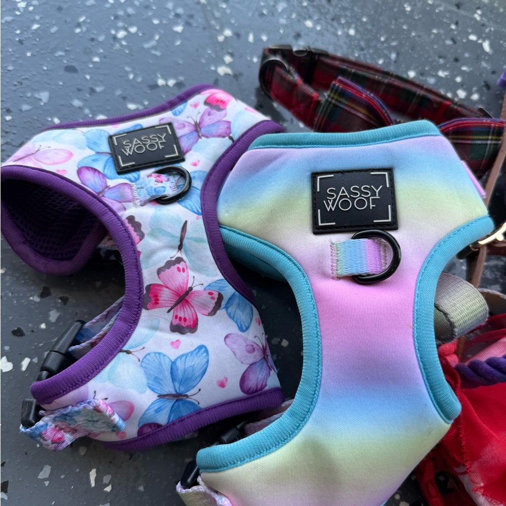 Colorful Dog Apparel Collection - Picture 6 of 9
